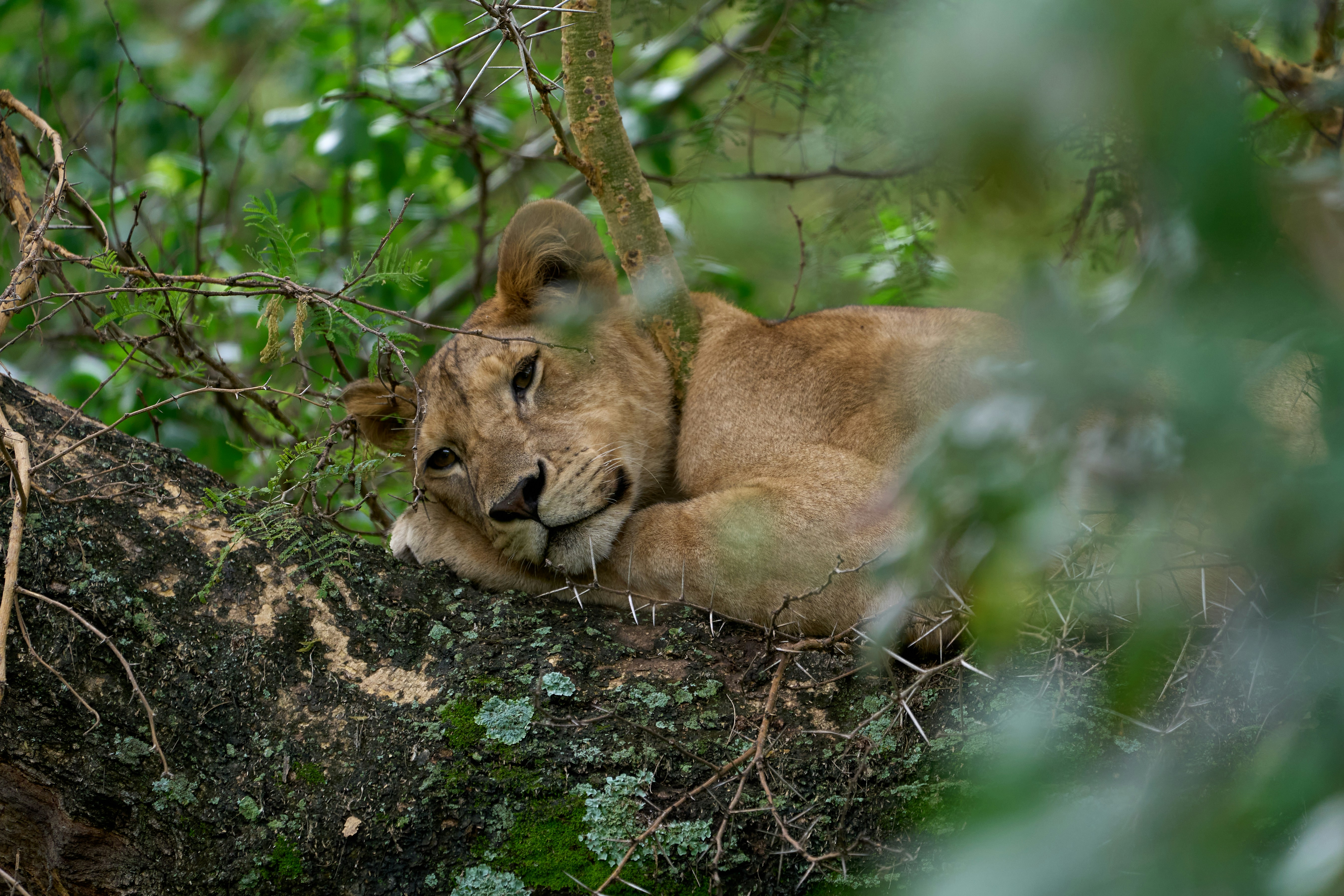 Lake Manyara